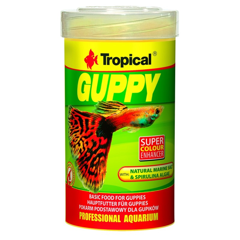 Guppy Hauptfutter