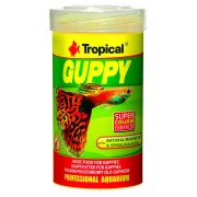 Guppy Hauptfutter