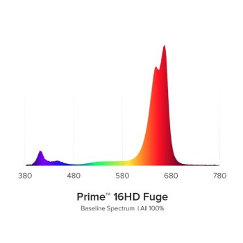 AI Prime FUGE schwarz