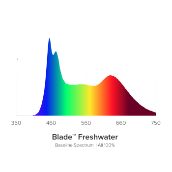 AI Prime 16HD Freshwater weiß