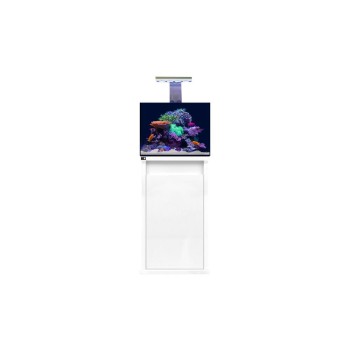 D-D Reef-Pro 600 BLACK SATIN - Aquariumsystem