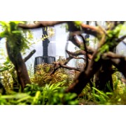 AQUAEL AQU@RIUM Filter HYPERMAX Link