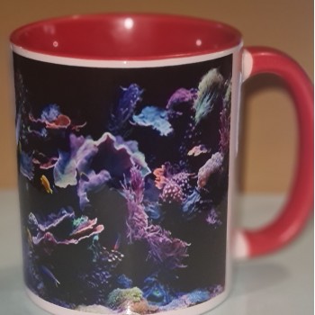 Zweifarbige Keramiktasse " Mit Aquarium Druck "