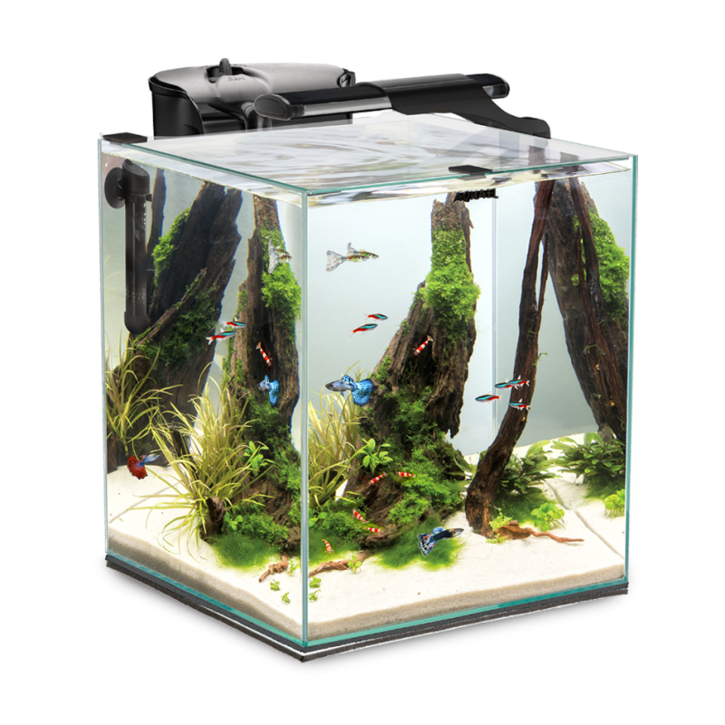 FISH & SHRIMP SET DUO D&N 35 Aquarium