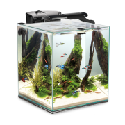 FISH & SHRIMP SET DUO D&N 35 Aquarium