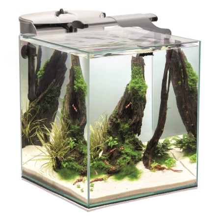 FISH & SHRIMP SET DUO D&N 35 Aquarium