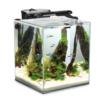 FISH & SHRIMP SET DUO D&N 35 Aquarium