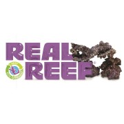 Real Reef Rock - Arches