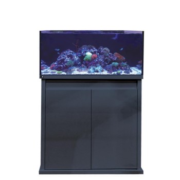 Reef-Pro 900 ANTHRACITE