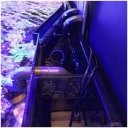 D-D Reef-Pro1200 PLATINUM OAK - Aquariumsystem