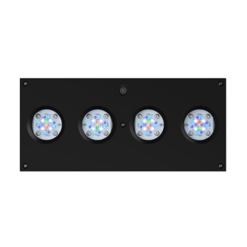 AI Hydra HD 64 LED schwarz