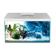 LEDDY DAY & NIGHT 40 Aquarium Set AQUAEL