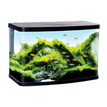 Aquarium - abgerundet - mit LED Abdeckung und Eck-Filter