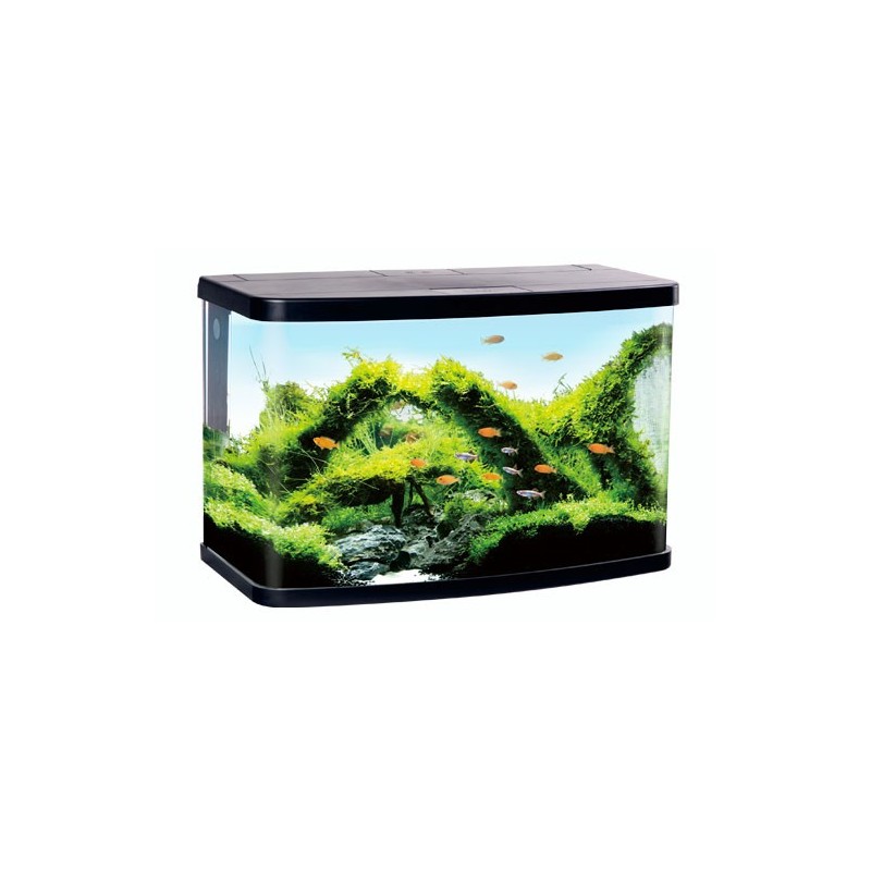 Aquarium - abgerundet - mit LED Abdeckung und Eck-Filter