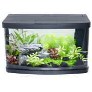 Aquarium - abgerundet - mit LED Abdeckung und Eck-Filter