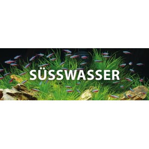 Süßwasser