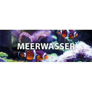 Meerwasser